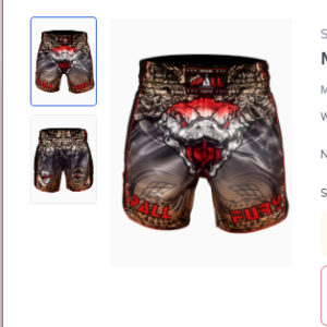 Muay Thai Shorts Fury Series